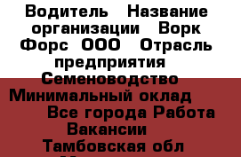 Водитель › Название организации ­ Ворк Форс, ООО › Отрасль предприятия ­ Семеноводство › Минимальный оклад ­ 42 900 - Все города Работа » Вакансии   . Тамбовская обл.,Моршанск г.